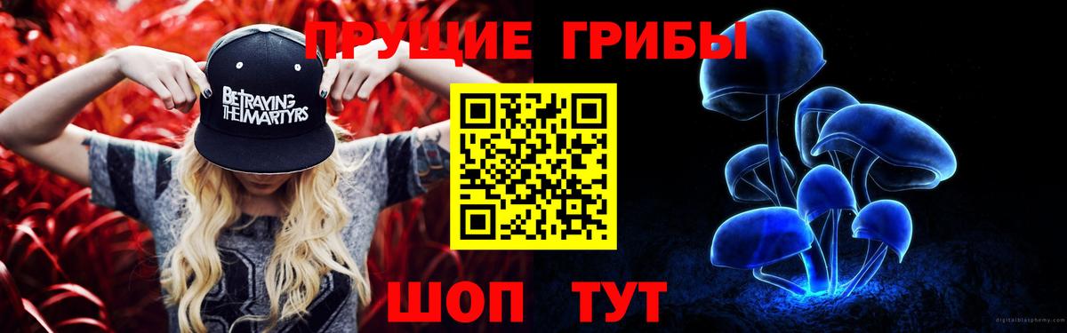 Йошкар-Ола  Псилоцибиновые грибы прущие грибы  Вход с VPN 